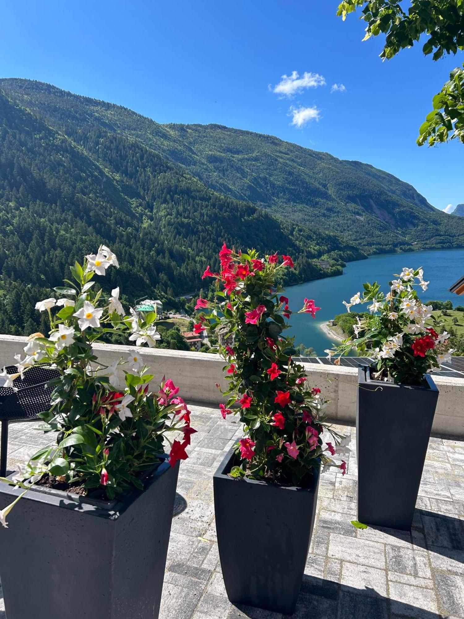 Hotel Aurora Molveno Buitenkant foto