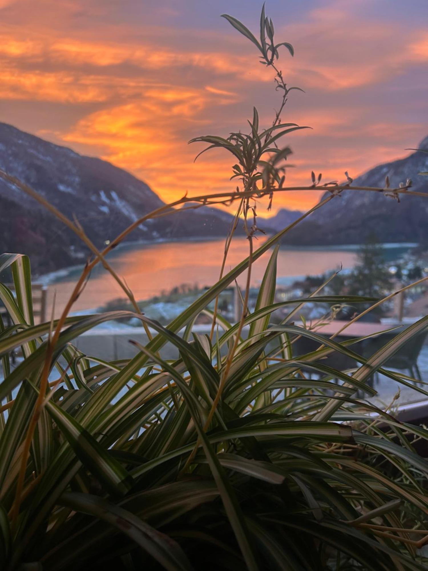 Hotel Aurora Molveno Buitenkant foto